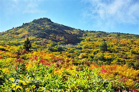 蓬萊仙山|蓬莱山